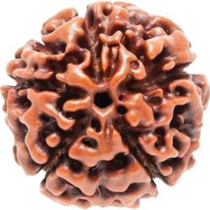 Divya Rudra Bead
